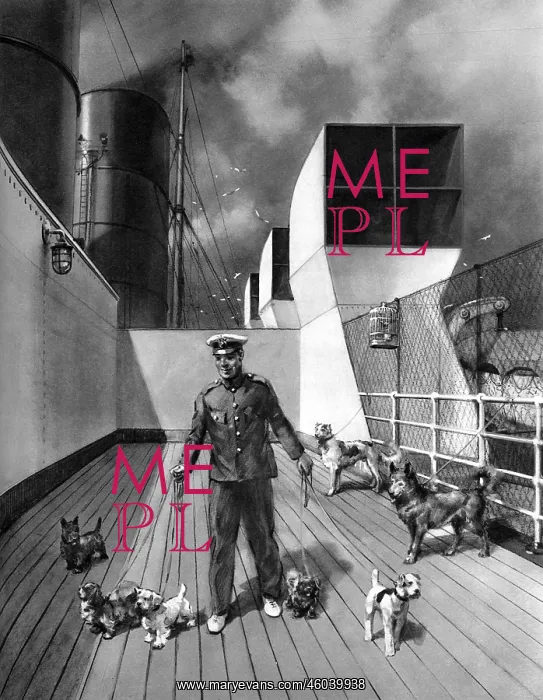 : RMS Queen Mary, The Pets Promenade : RMS Queen Mary, The Pets Promenade