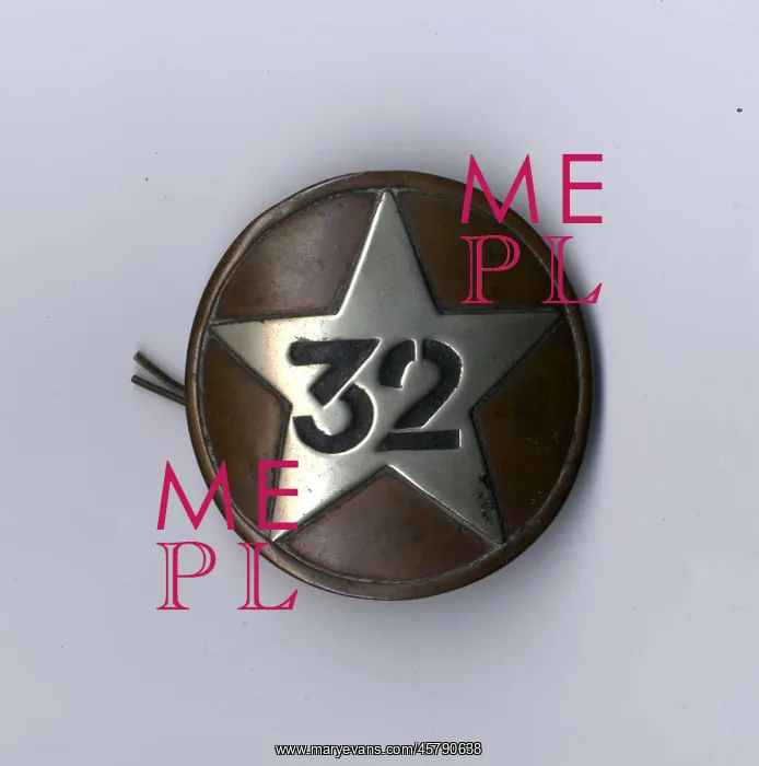 : RMS Titanic - Third Class steward's badge (front) : RMS Titanic - Third Class steward's badge (front)