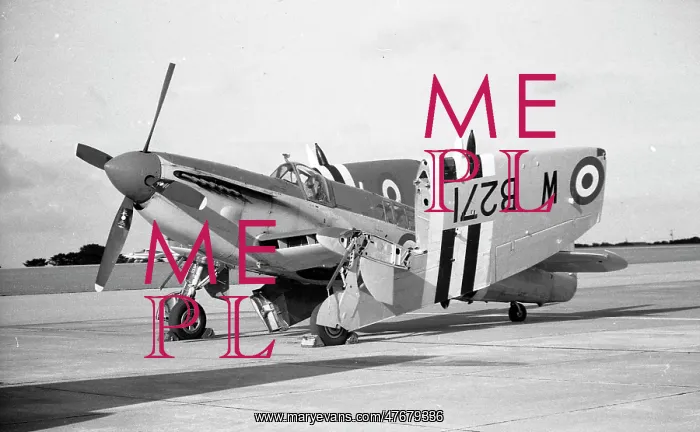 : RNHF Firefly AS Mk.5 WB271 - Culdrose : RNHF Firefly AS Mk.5 WB271 - Culdrose