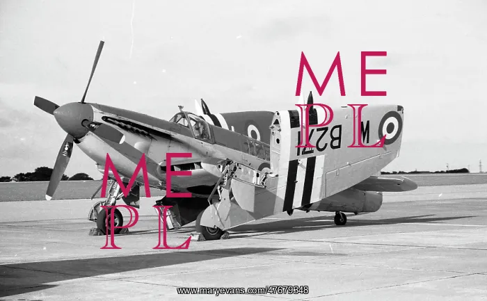 : RNHF Firefly AS Mk.5 WB271 - Culdrose : RNHF Firefly AS Mk.5 WB271 - Culdrose