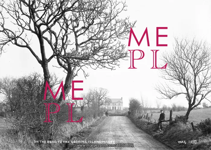 : On the Road to the Gobbins, Islandmagee : On the Road to the Gobbins, Islandmagee