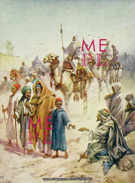 : Road to Mecca - Camels and Pilgrims : Road to Mecca - Camels and Pilgrims