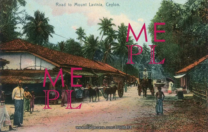  : Road to Mount Lavinia, Ceylon (Sri Lanka)