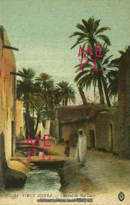 : A road in Old Biskra. With date palms : A road in Old Biskra. With date palms