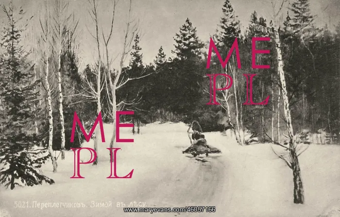 : Road through a Russian forest in winter : Road through a Russian forest in winter