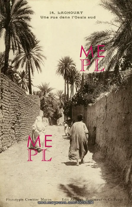 : A road in the south of the Oasis, Laghouat : A road in the south of the Oasis, Laghouat