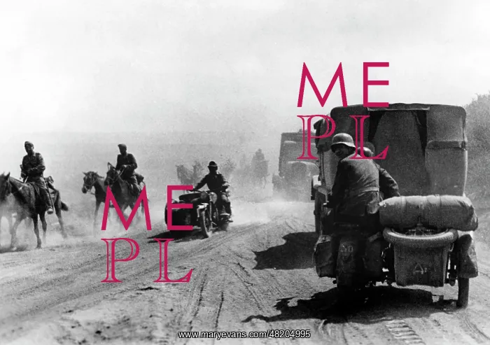 : Road in the vicinity of the Kursk salient, 1943 : Road in the vicinity of the Kursk salient, 1943