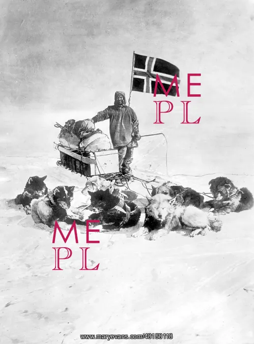 : Roald Amundsen at the South Pole, 1911 : Roald Amundsen at the South Pole, 1911