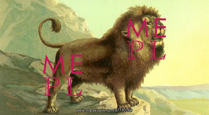  : Roaring Lion
