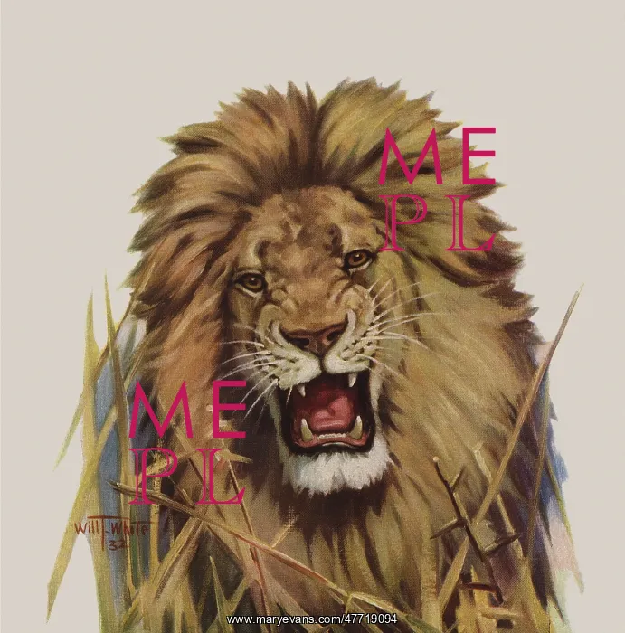  : Roaring Lion