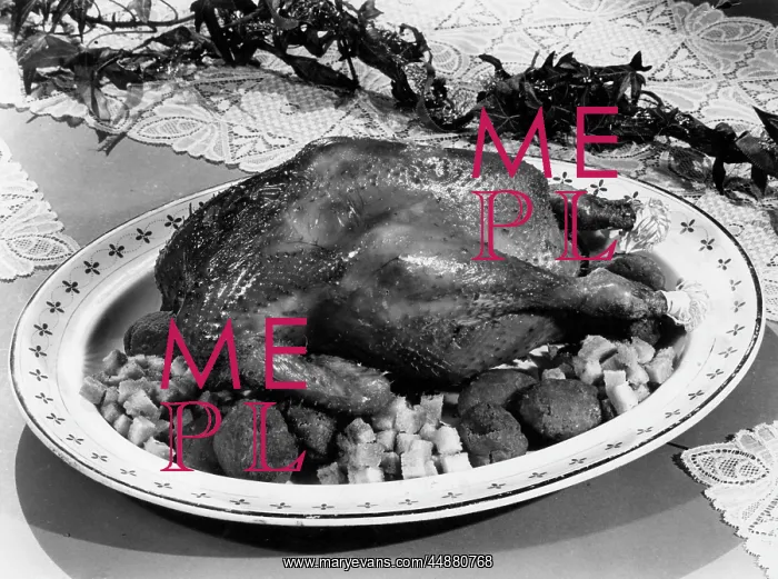 : ROAST CHICKEN : ROAST CHICKEN