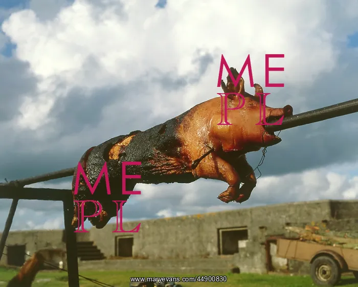  : A roast pig on a spit, West Country