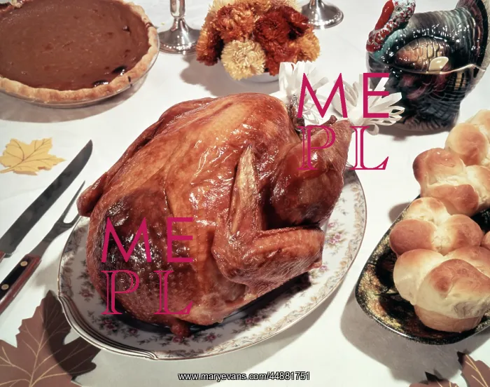 : Roast Turkey Dinner : Roast Turkey Dinner