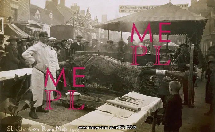 : ROASTING AN OX 1918 : ROASTING AN OX 1918