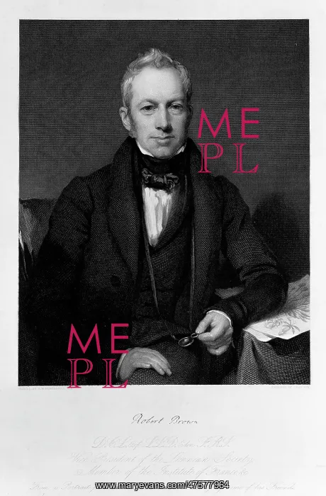 : Robert Brown (1773-1858) : Robert Brown (1773-1858)