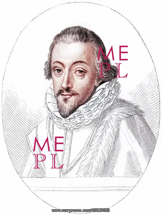 : ROBERT CECIL / OVAL LINE : ROBERT CECIL / OVAL LINE