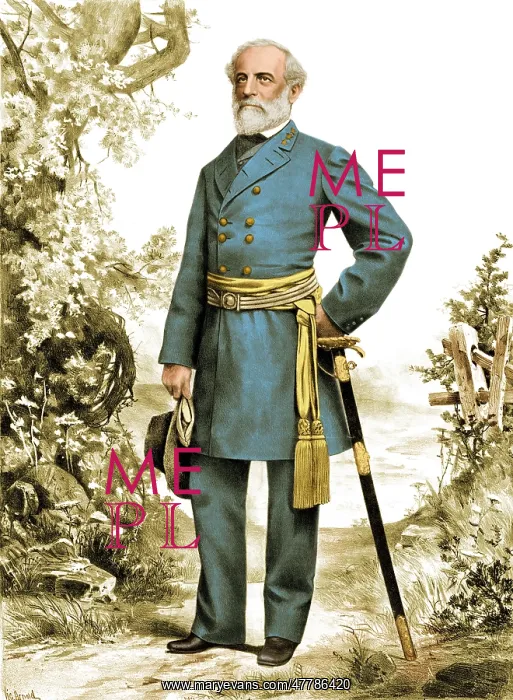 : Robert E. Lee, Confederate Army Commander : Robert E. Lee, Confederate Army Commander