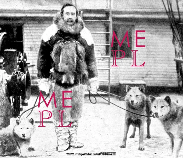 : Robert E. Peary and some husky dogs, 1909 : Robert E. Peary and some husky dogs, 1909