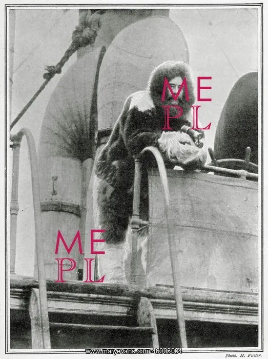 : Robert E. Peary on the Roosevelt, 1909 : Robert E. Peary on the Roosevelt, 1909