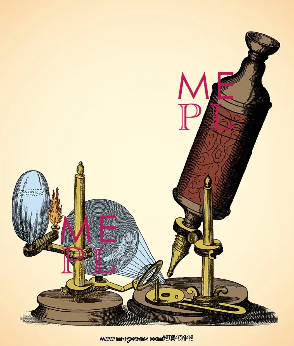 : Robert Hooke Microscope, 17th Century : Robert Hooke Microscope, 17th Century