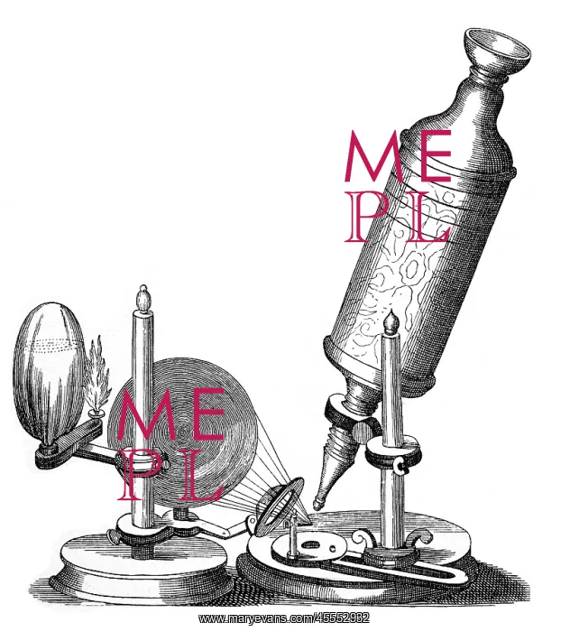  : Robert Hooke - Microscope