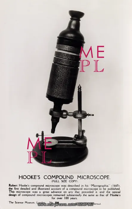 : Robert Hooke's Microscope : Robert Hooke's Microscope