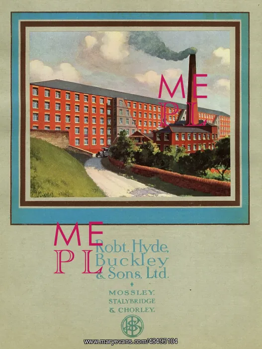 : Robert Hyde, Buckley & Sons Ltd : Robert Hyde, Buckley & Sons Ltd