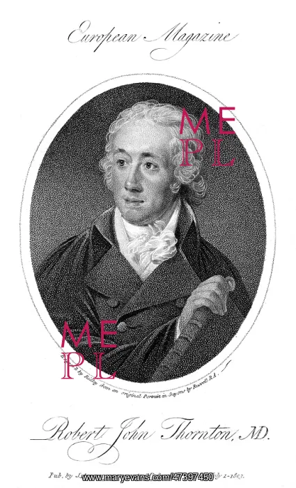 : ROBERT JOHN THORNTON : ROBERT JOHN THORNTON
