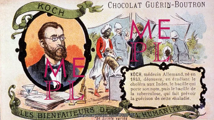 : Robert Koch, German Bacteriologist : Robert Koch, German Bacteriologist