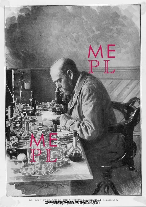: Robert Koch in Kimberley : Robert Koch in Kimberley