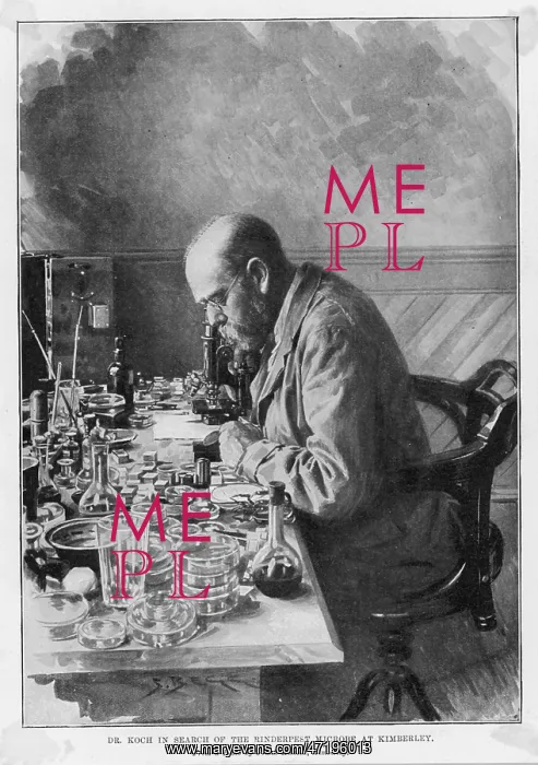 : ROBERT KOCH IN KIMBERLEY : ROBERT KOCH IN KIMBERLEY