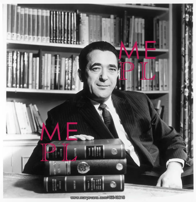 : ROBERT MAXWELL : ROBERT MAXWELL