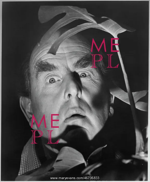 : Robert Morley - Man - Actor - Celebrity : Robert Morley - Man - Actor - Celebrity
