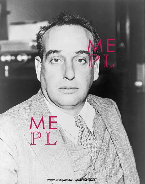 : Robert Moses (1888-1981), city planner of ? : Robert Moses (1888-1981), city planner of ?