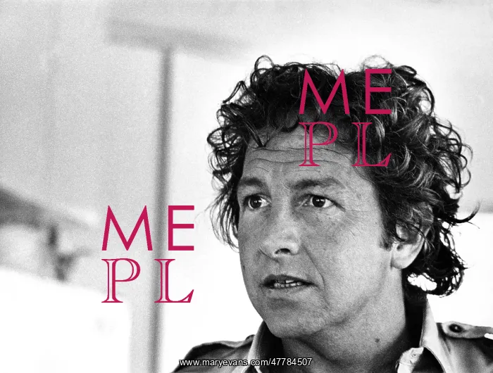: Robert Rauschenberg, 1975 : Robert Rauschenberg, 1975