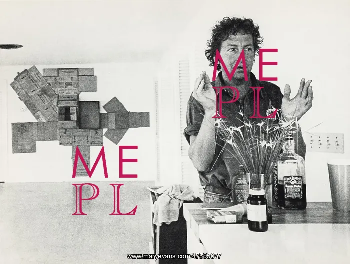 : Robert Rauschenberg : Robert Rauschenberg