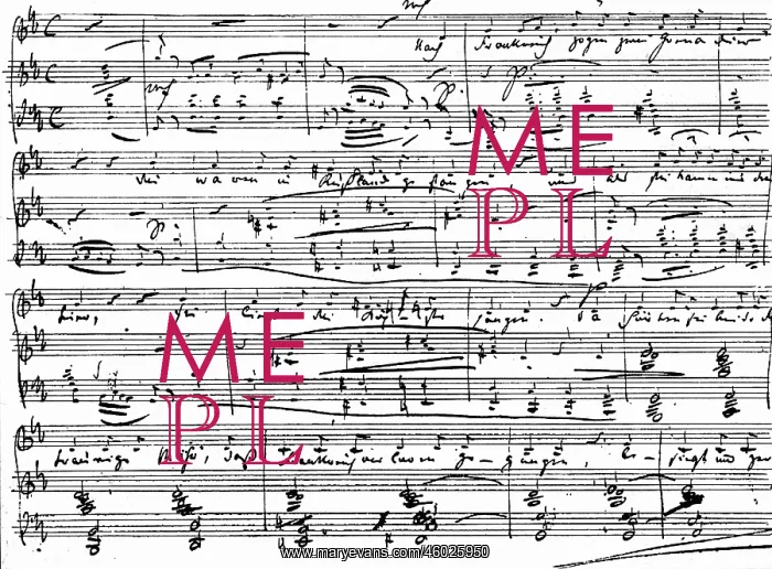 : Robert Schumann : Robert Schumann