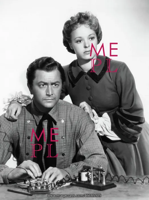 : Robert Young - Virginia Gilmore : Robert Young - Virginia Gilmore