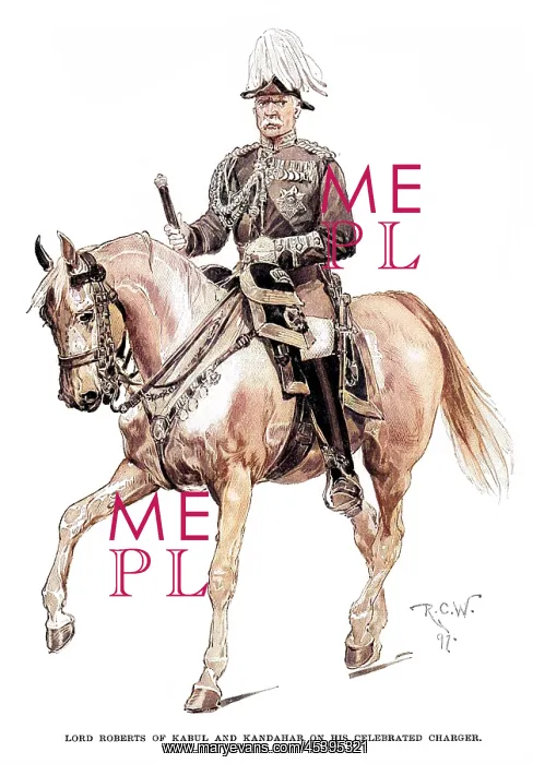 : ROBERTS HORSEBACK : ROBERTS HORSEBACK