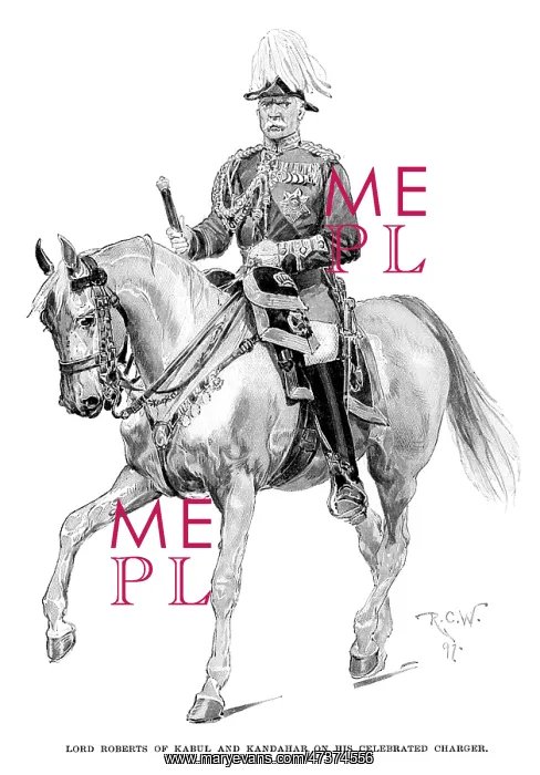 : ROBERTS HORSEBACK : ROBERTS HORSEBACK