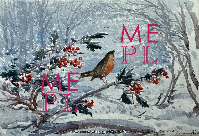 : What will the Robin do then : What will the Robin do then
