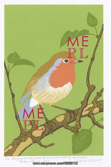 : Robin : Robin