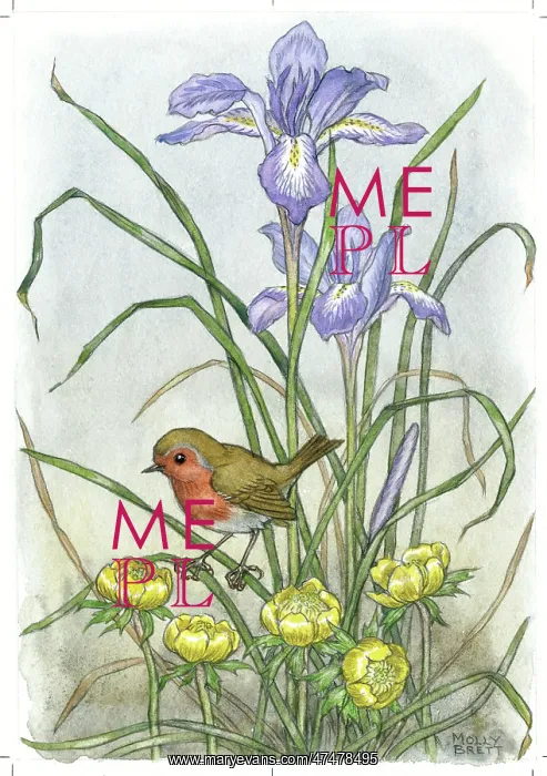 : Robin with aconites and iris : Robin with aconites and iris
