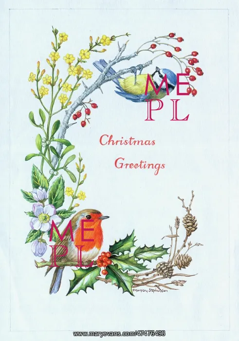 : Robin and Blue Tit Christmas Greeting : Robin and Blue Tit Christmas Greeting