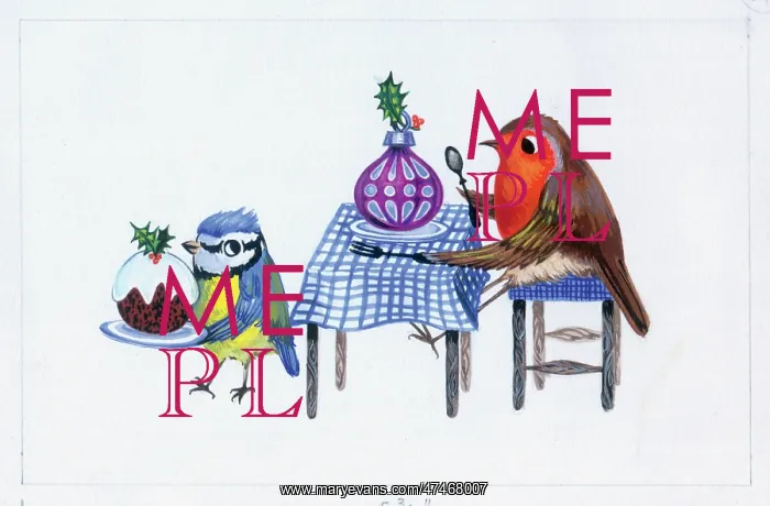 : Robin and blue tit with Christmas pudding and bauble : Robin and blue tit with Christmas pudding and bauble