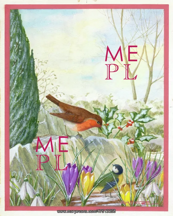 : Robin and blue tit with crocuses and snowdrops : Robin and blue tit with crocuses and snowdrops