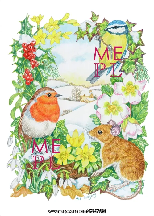 : Robin, Blue Tit and Mouse with Winter Flowers : Robin, Blue Tit and Mouse with Winter Flowers