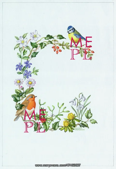 : Robin and Blue Tit with, holly, mistletoe etc : Robin and Blue Tit with, holly, mistletoe etc