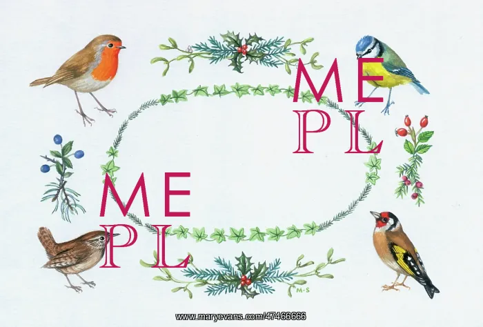  : Robin, Blue tit, Wren and Goldfinch