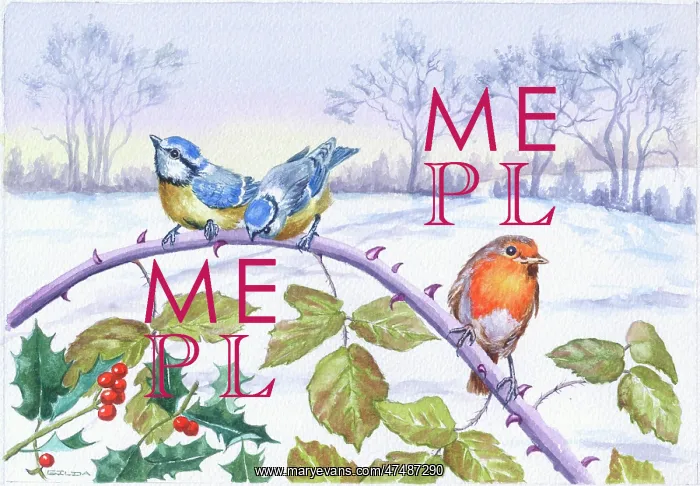 : Robin and two Blue Tits on brambles : Robin and two Blue Tits on brambles
